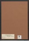 Surirella longa Schum. (de-Toni-Nr.: Genus 53, Species 2318) Zeichnungen Sammlung Grunow Mappe 02517 (Herbarium_W_Grunow_drawings_Folder_02517)